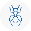 Ant Removals In Port Talbot Town Centre