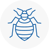 Bed Bug Extermination In Port Talbot Town Centre