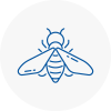 Bee Nest Removal Port Talbot Town Centre