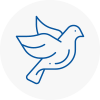 Bird Prevention Port Talbot Town Centre