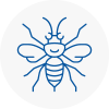 Port Talbot Town Centre Hornet Nest Removals