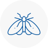 Moth Control Specialists In Port Talbot Town Centre