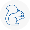 Port Talbot Town Centre Rodent Removals