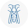 Port Talbot Town Centre Wasp Nest Removal